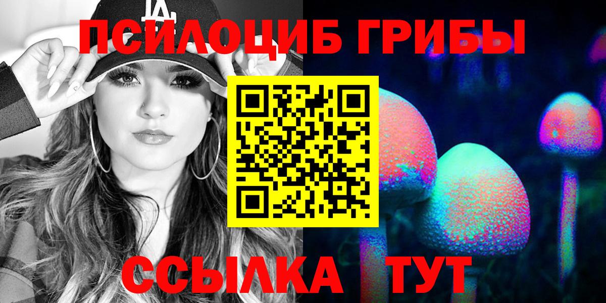 Галлюциногенные грибы Psilocybe  Вход с VPN  Бийск 